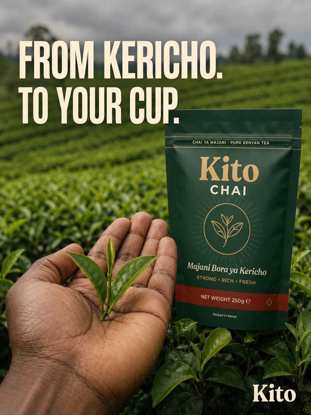 Kito Chai — a hand holding freshly picked tea leaves against the Kericho field, pouch alongside, 'From Kericho. To your cup.'